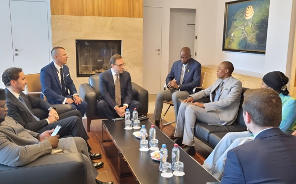 Glavkosmos holds talks with the delegation of the Government of Mali